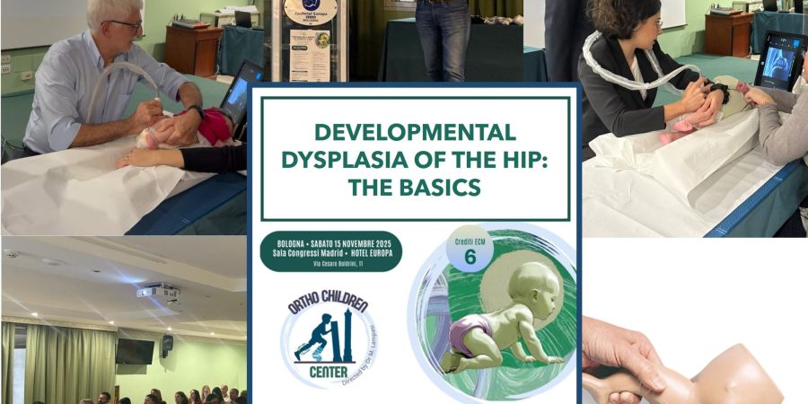 The basic course “Developmental Dysplasia of the Hip: The Basics”,  was successfully completed